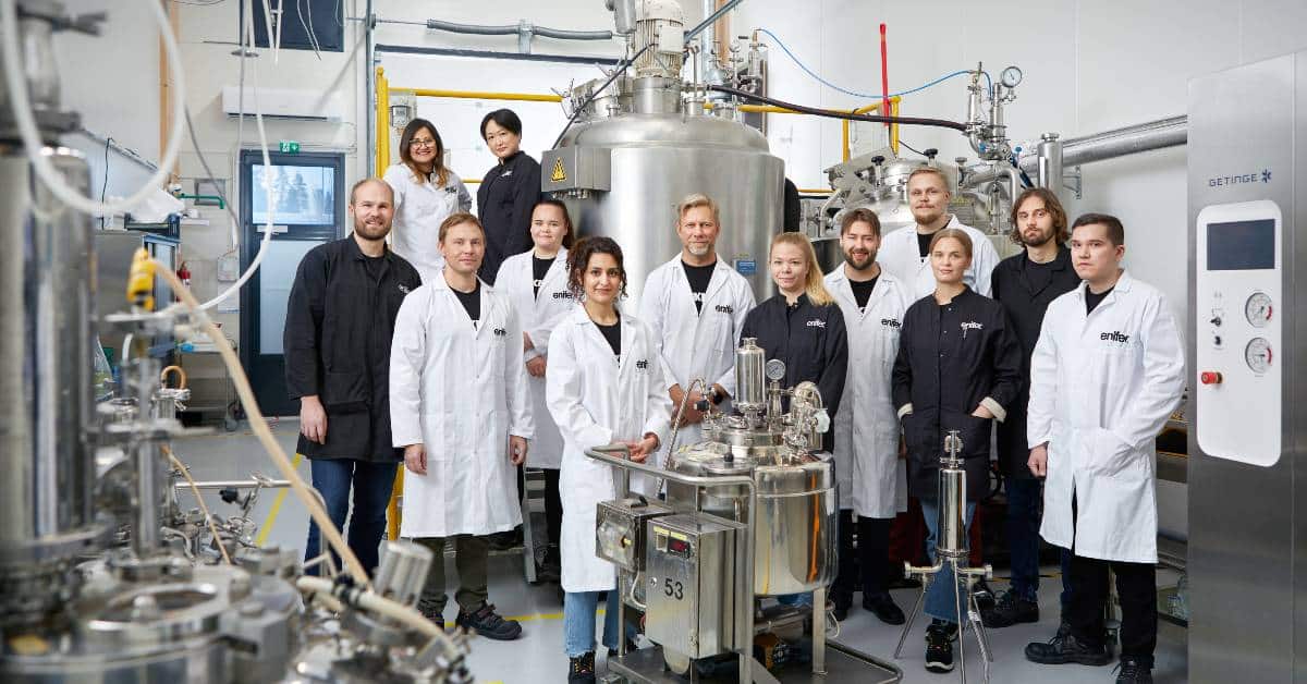 Finland-based Enifer bags €12M grant to gear up the production of its proprietary PEKILO mycoprotein