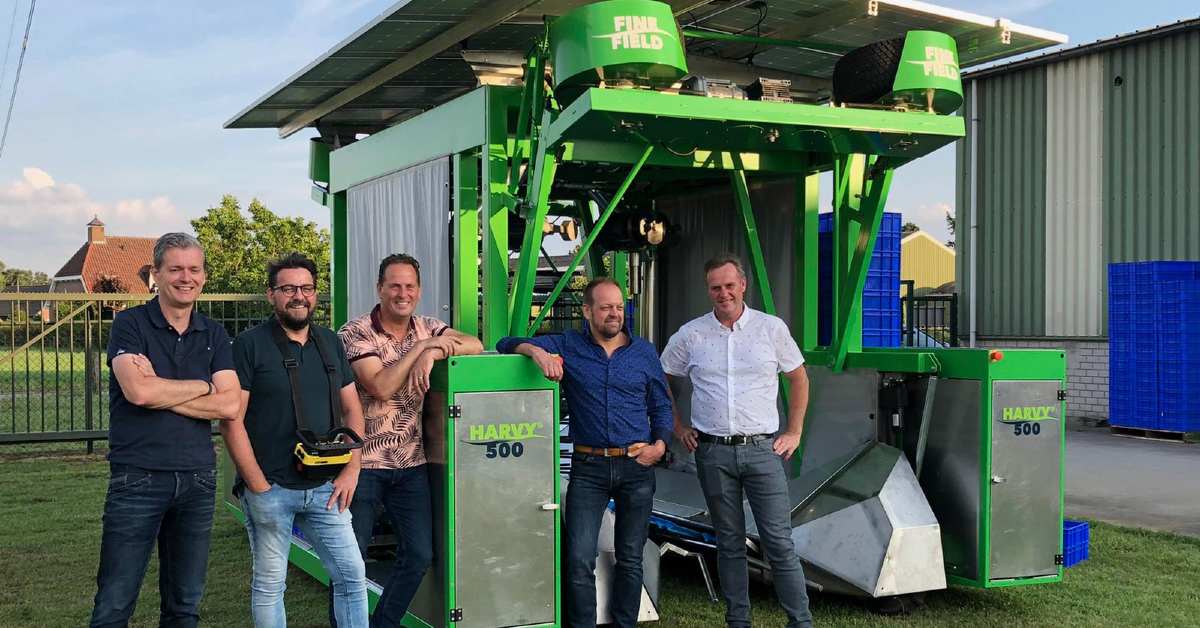 Dutch-based FineField secures investment to modernise blueberry farming