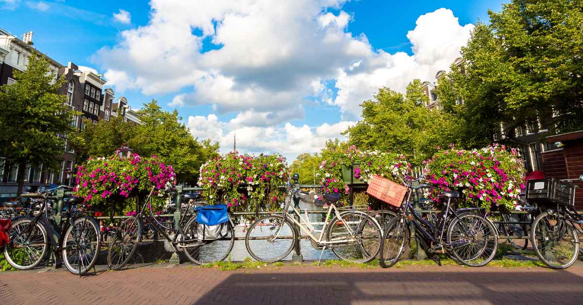 Amsterdam becomes the first in the EU to support Plant Based Treaty for climate emergency