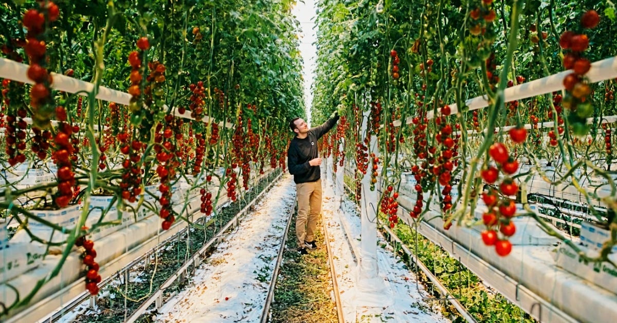 Source.ag