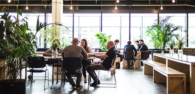Amsterdam krijgt 's werelds eerste incubator voor bloemen-startups
