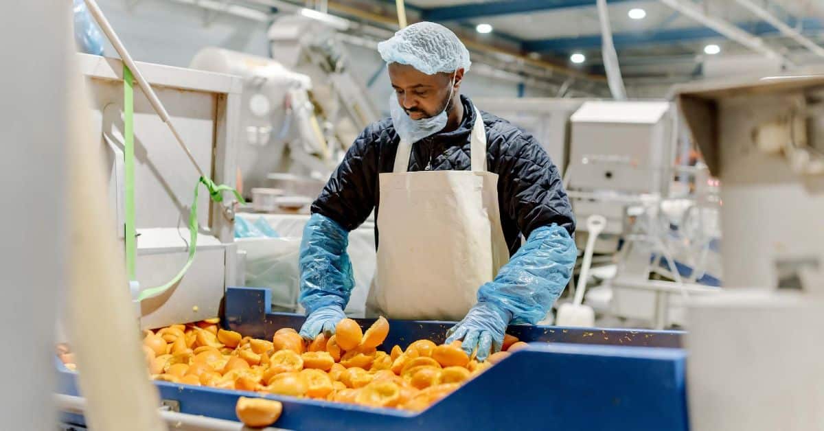 Dutch foodtech startup PeelPioneers secures €4M in growth capital; plans to raise another €4M through crowdfunding