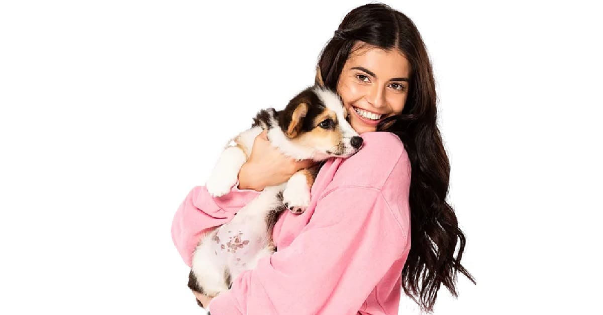 Amsterdam-based Bazoeki secures €450k to expand its platform for buying good puppies from vetted breeder