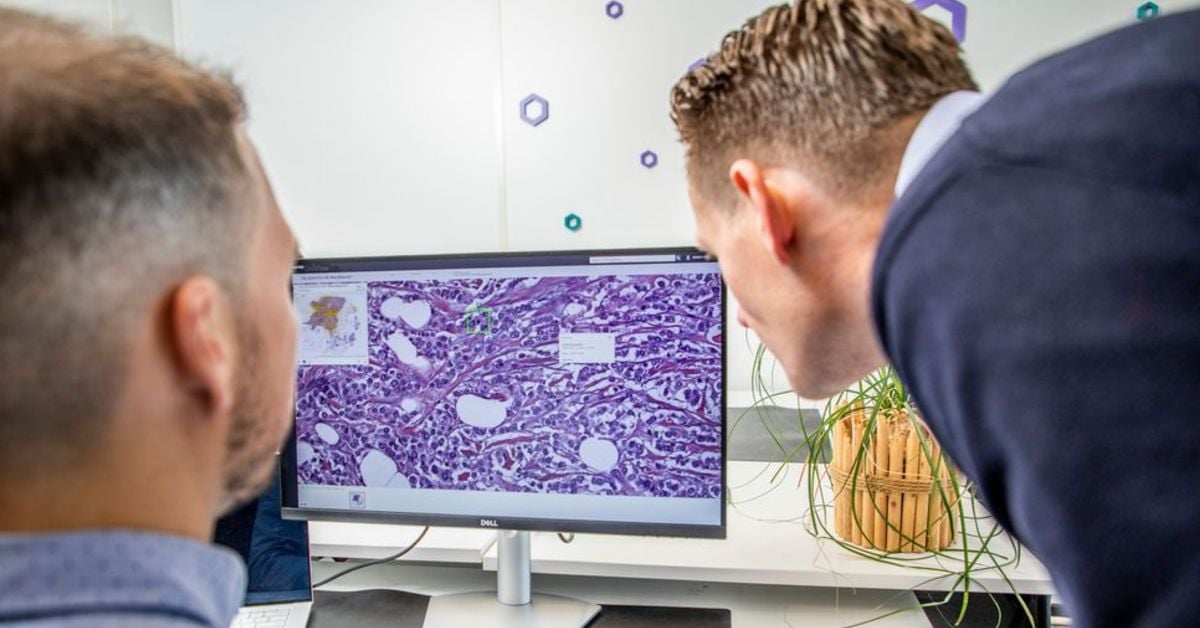 Dutch medical software company Aiosyn raises €2.4M to advance cancer diagnostics through AI