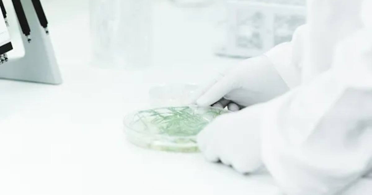 Iceland’s ORF Genetics lands €5M to scale plant-based growth factors for cultivated meat; eyes €7M total