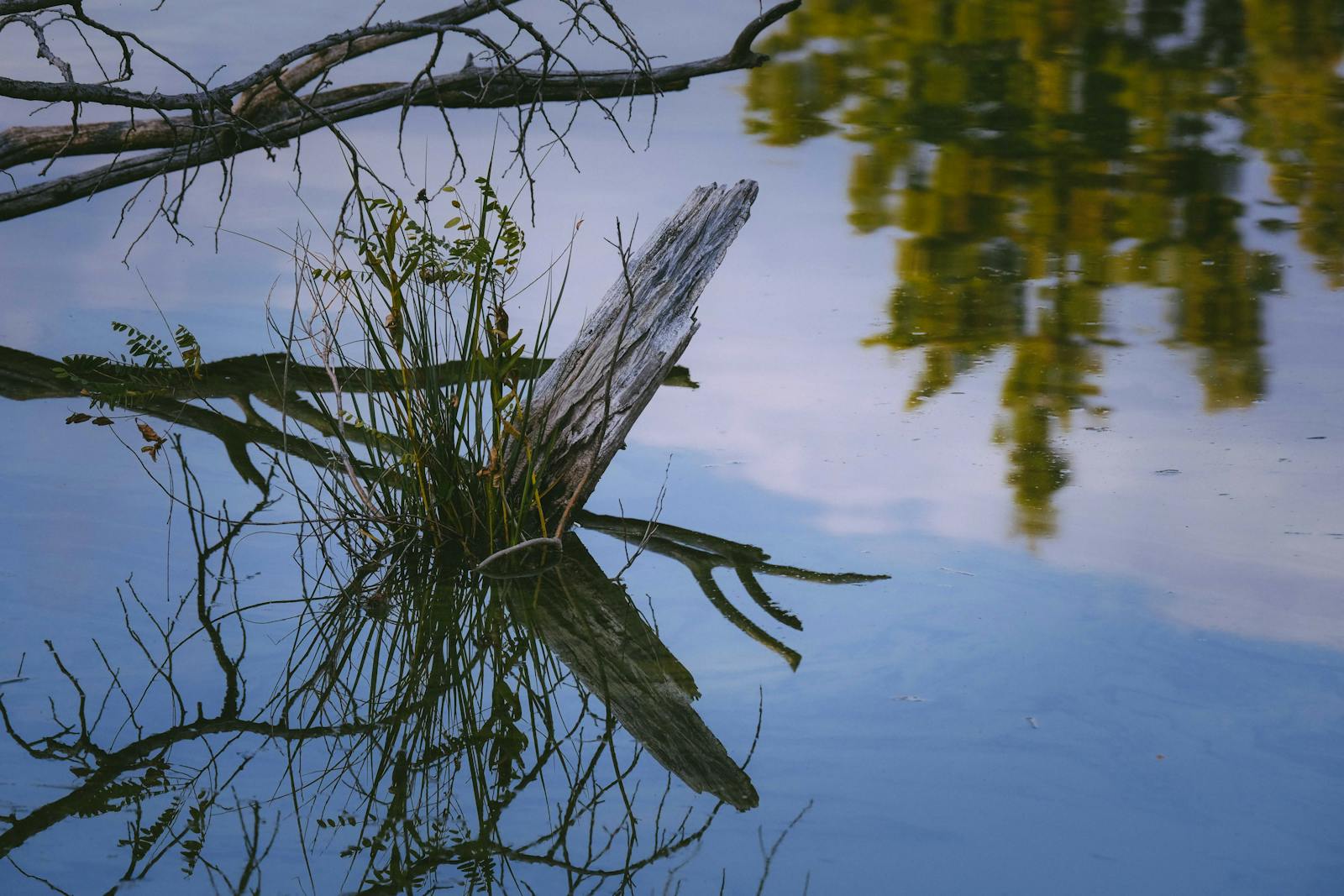 calm water reflection