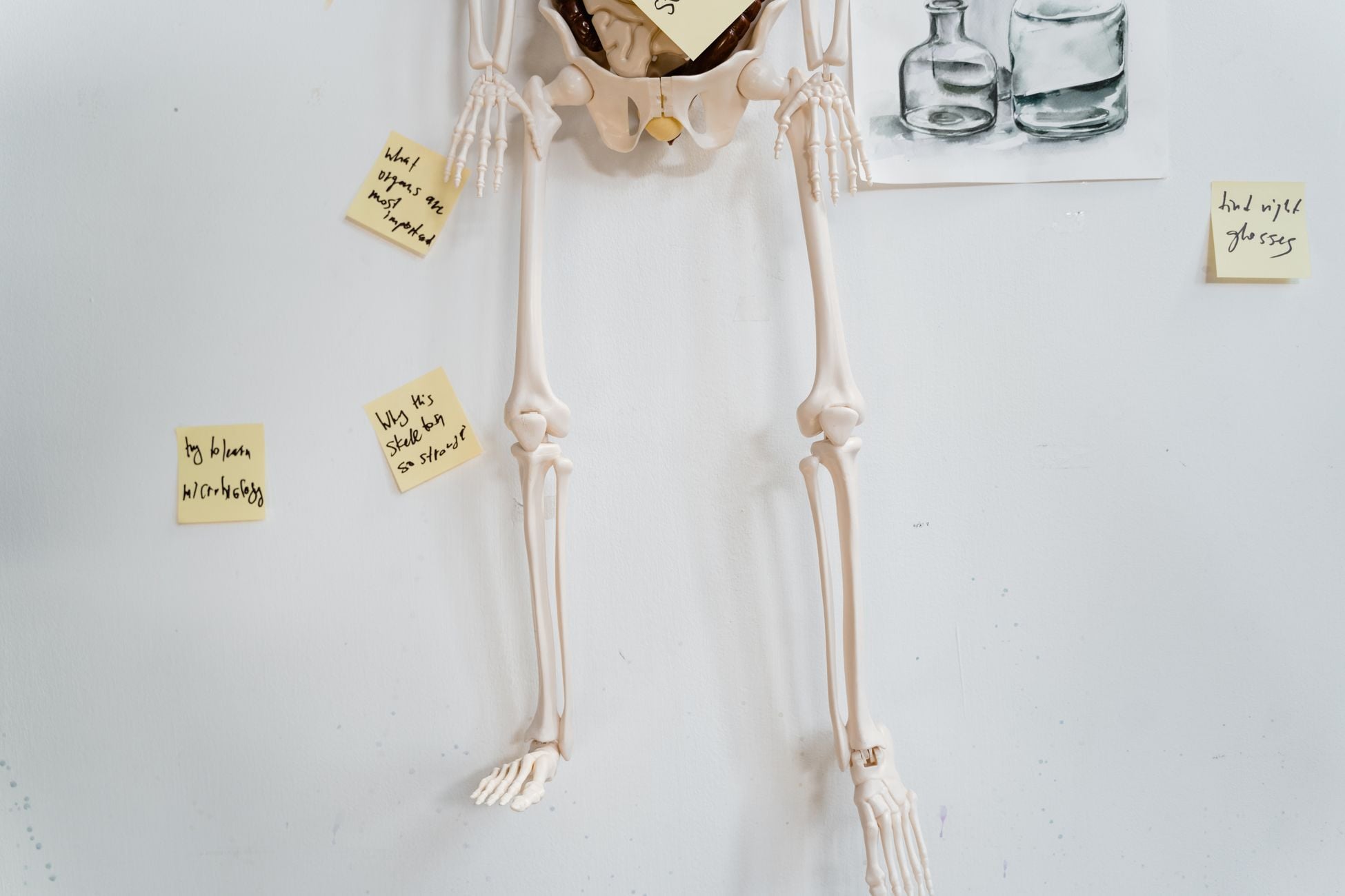 Skeleton model hanging on a white wall surrounded by handwritten post-it notes and sketches.