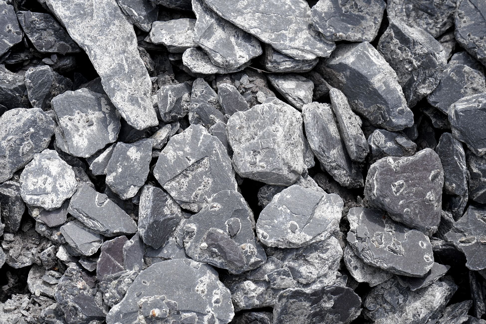 Cecil Rhodes spent 17 years buying out every rival diamond digger in Kimberley, and by 1889 his De Beers controlled roughly 90 percent of every diamond on Earth