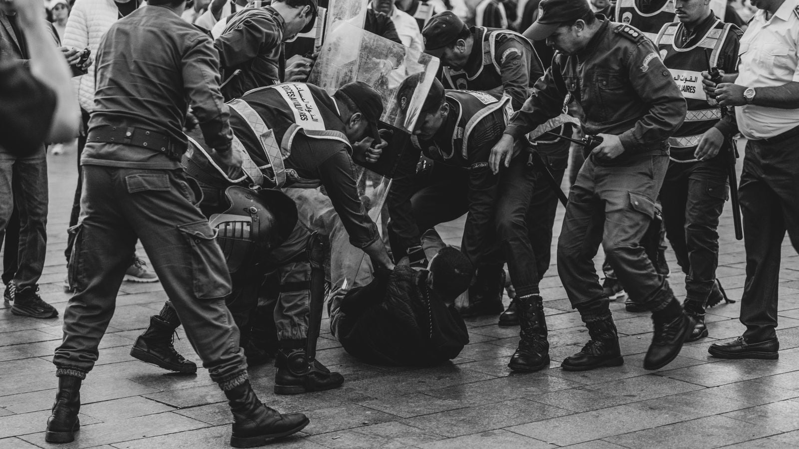 Palestine Action protesters arrested