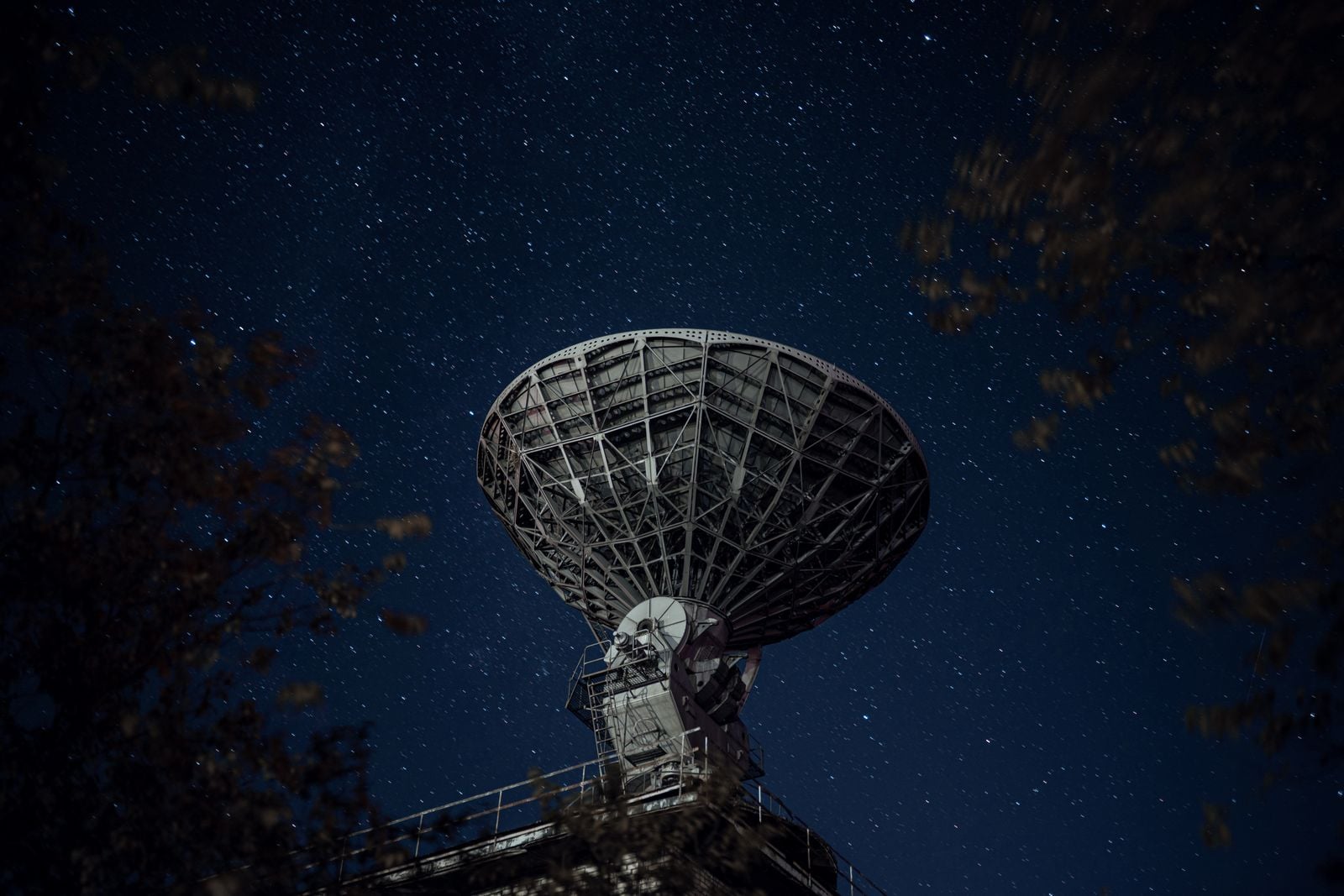 Wow signal printout