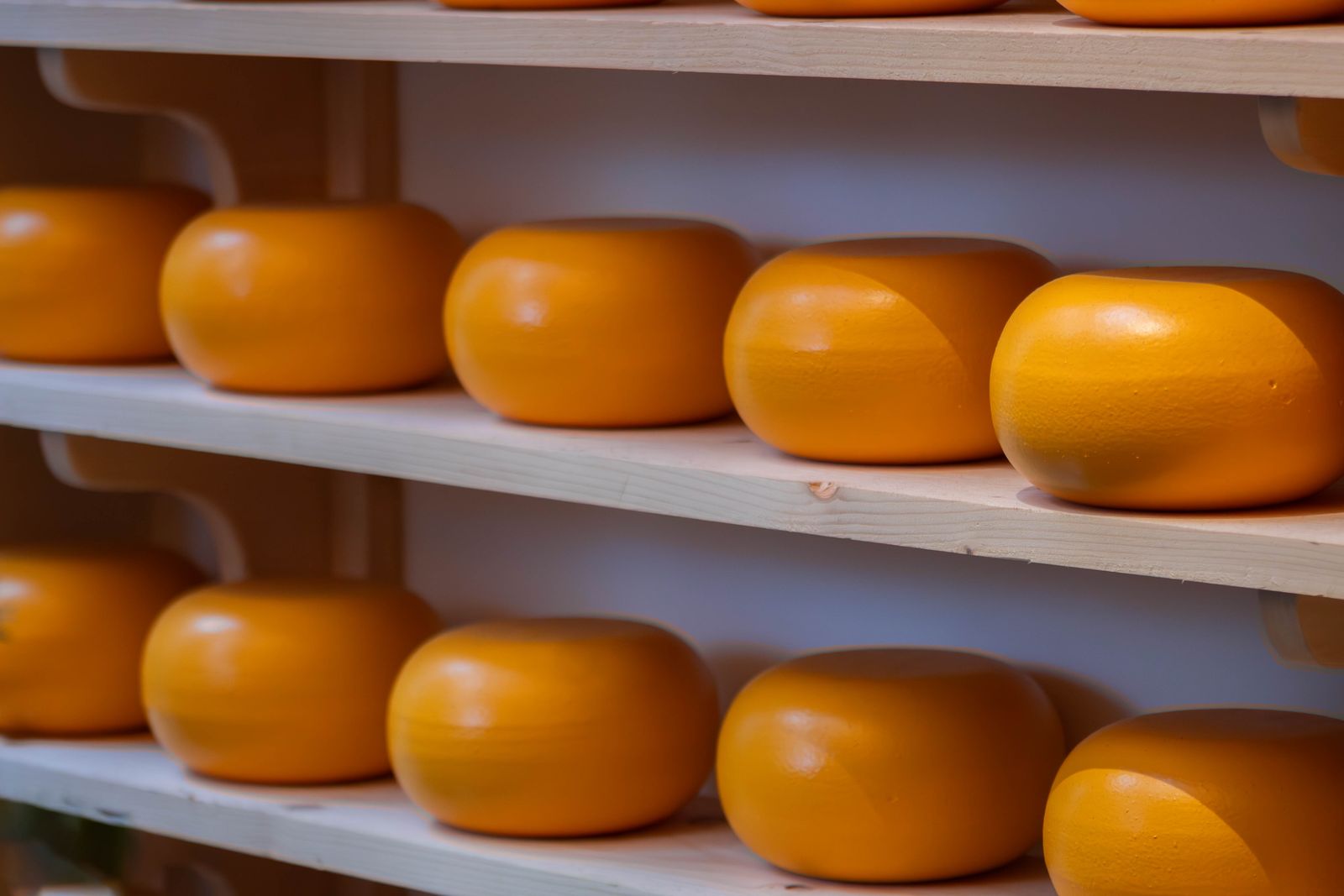 cheese aging warehouse