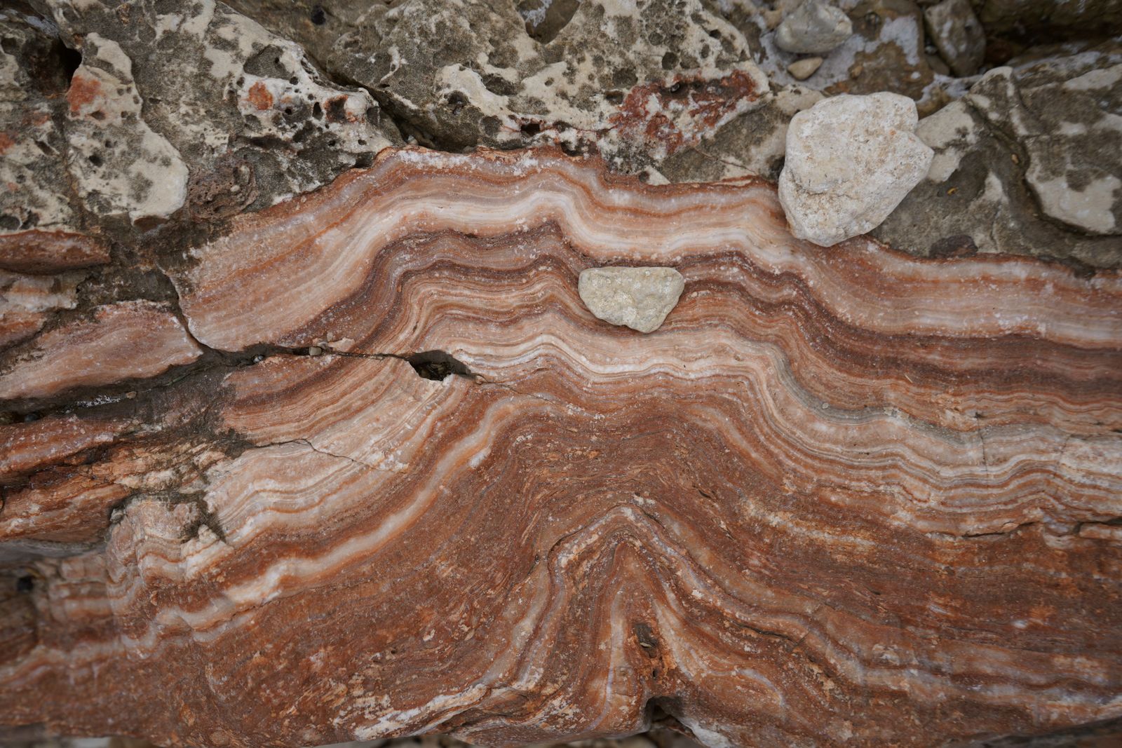 The Boring Billion is what geologists call the stretch between roughly 1.8 and 0.8 billion years ago when Earth's oceans went so chemically stagnant that evolut