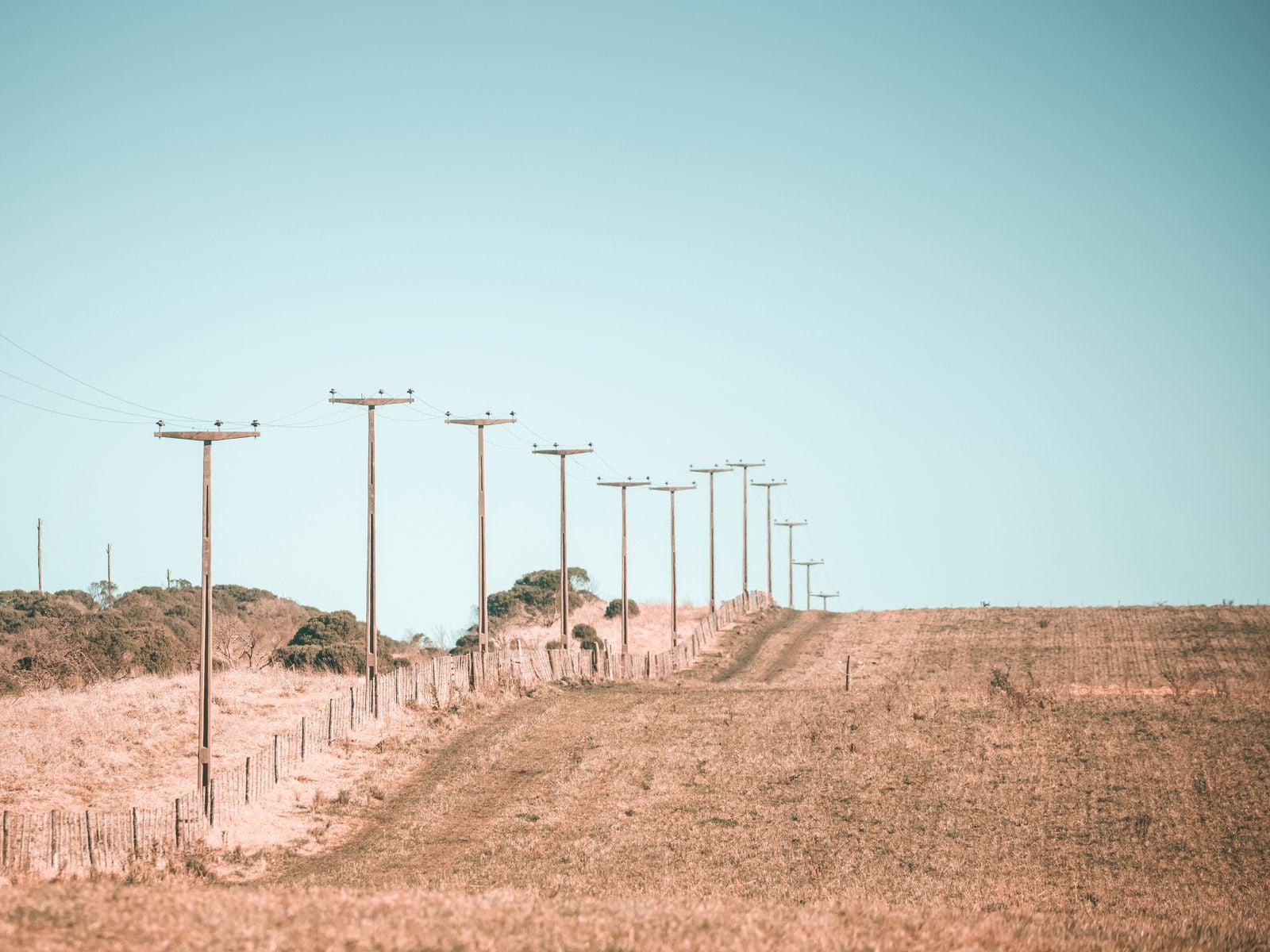1844 telegraph line poles
