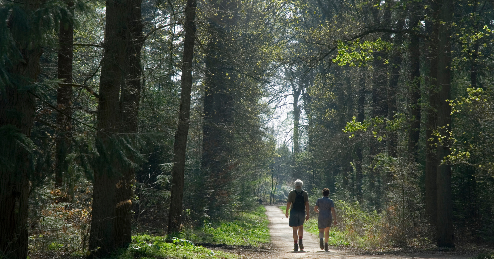 Psychology says people who feel genuinely restored after time in nature aren't indulgent or avoidant —they're often carrying a sensitivity that the built world was never designed to accommodate and the natural world never asks them to hide