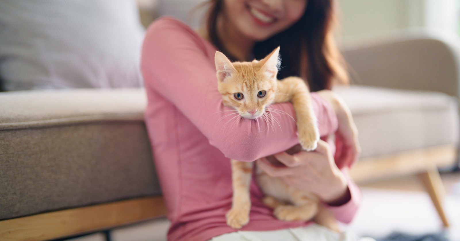 Woman holding an orange kitten