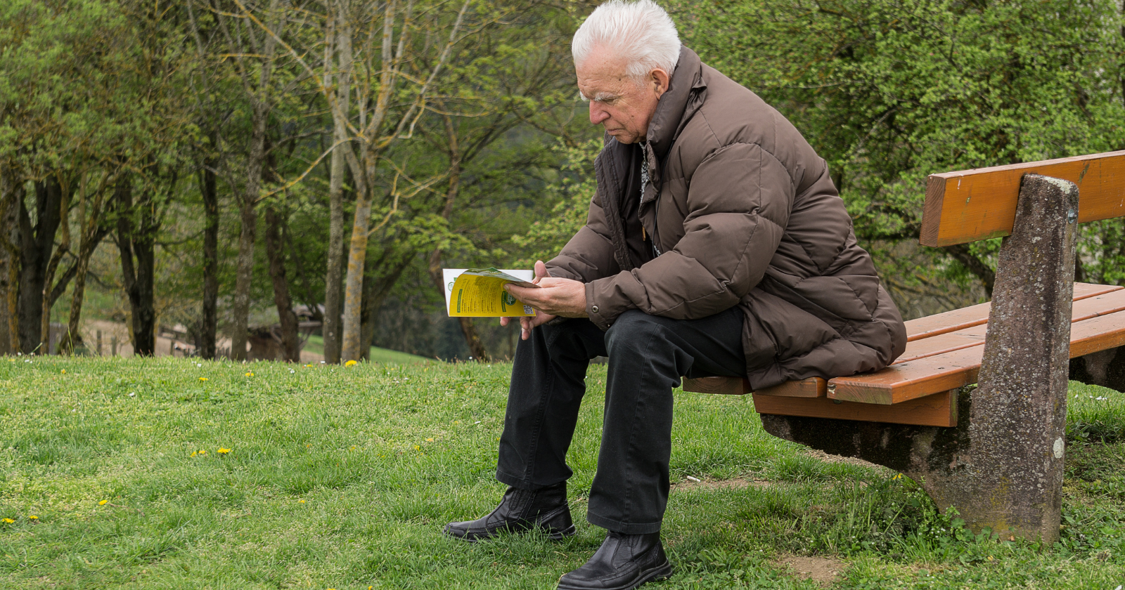 Older man reading on a park bench