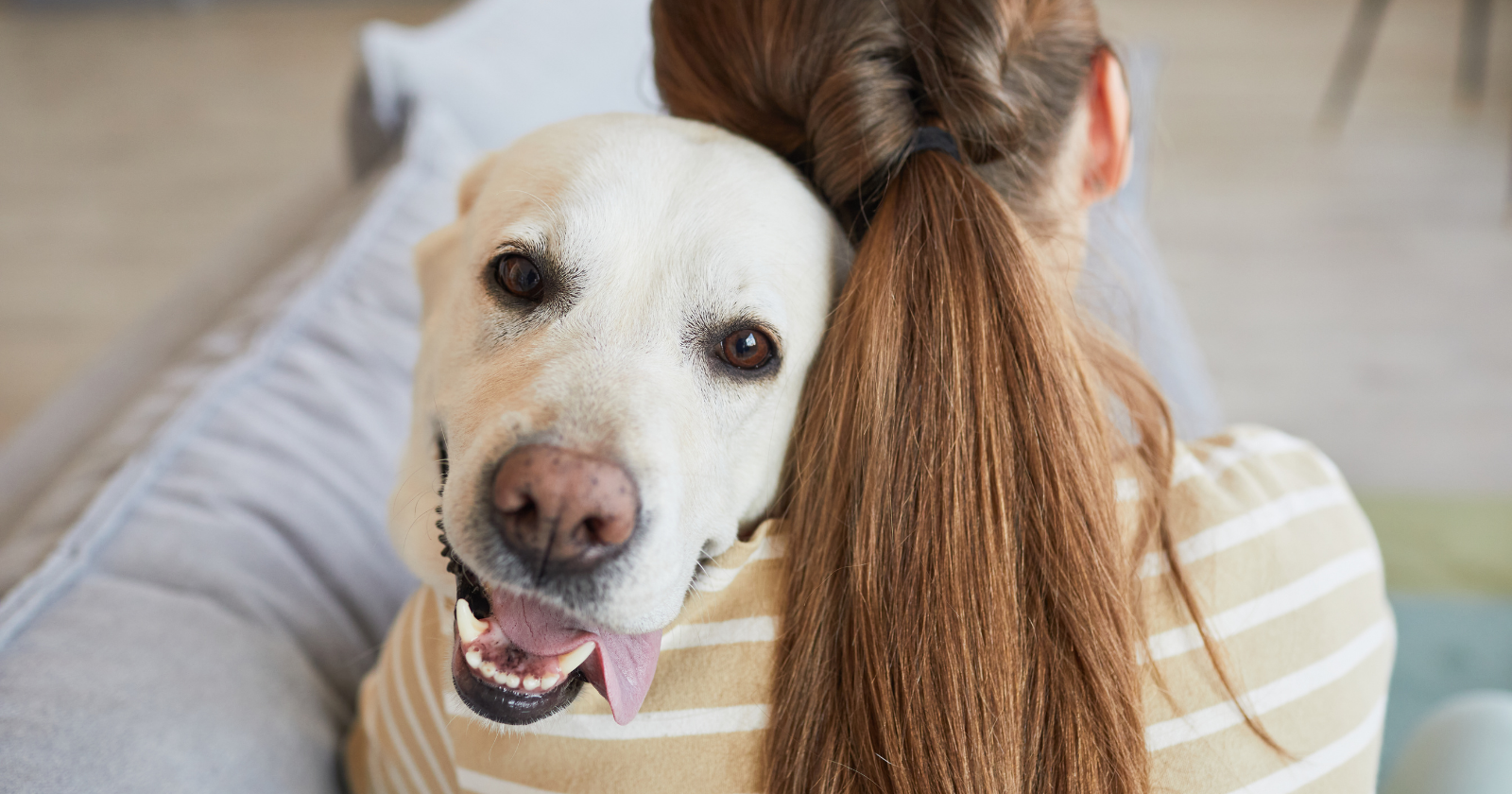 Woman hugging a dog