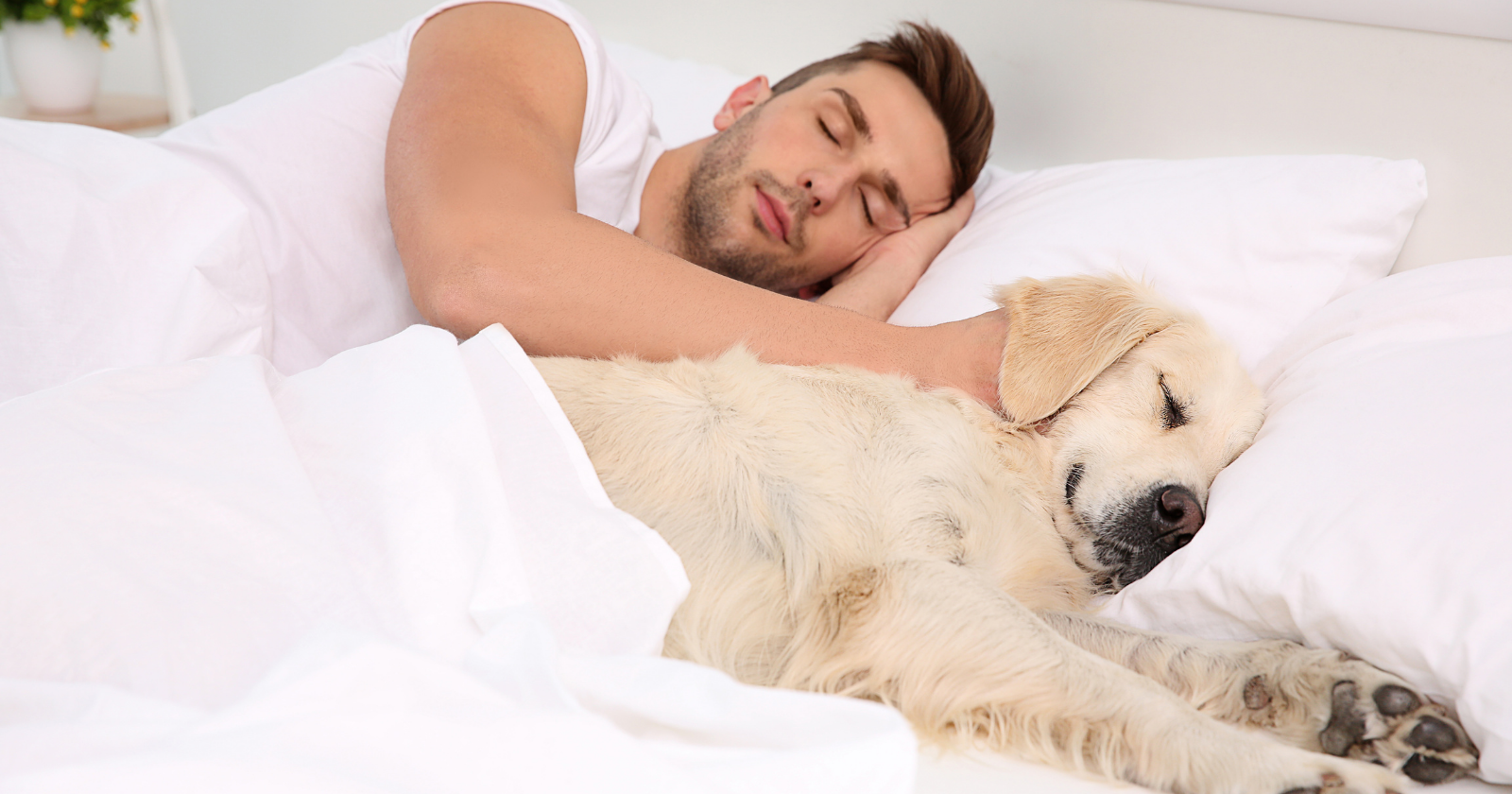 Man sleeping beside a dog
