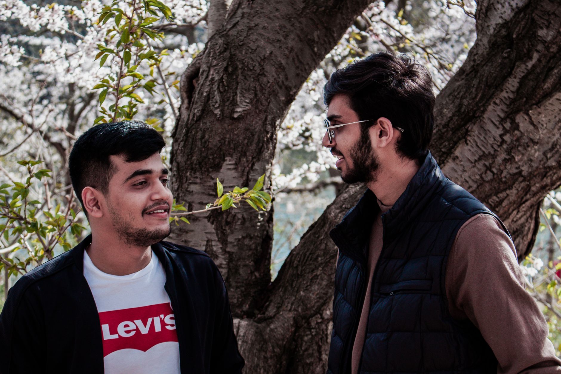 Two men talking under a tree