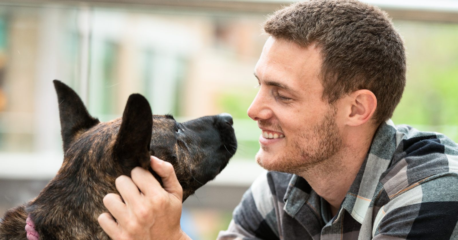 Smiling man as a dog licks his face