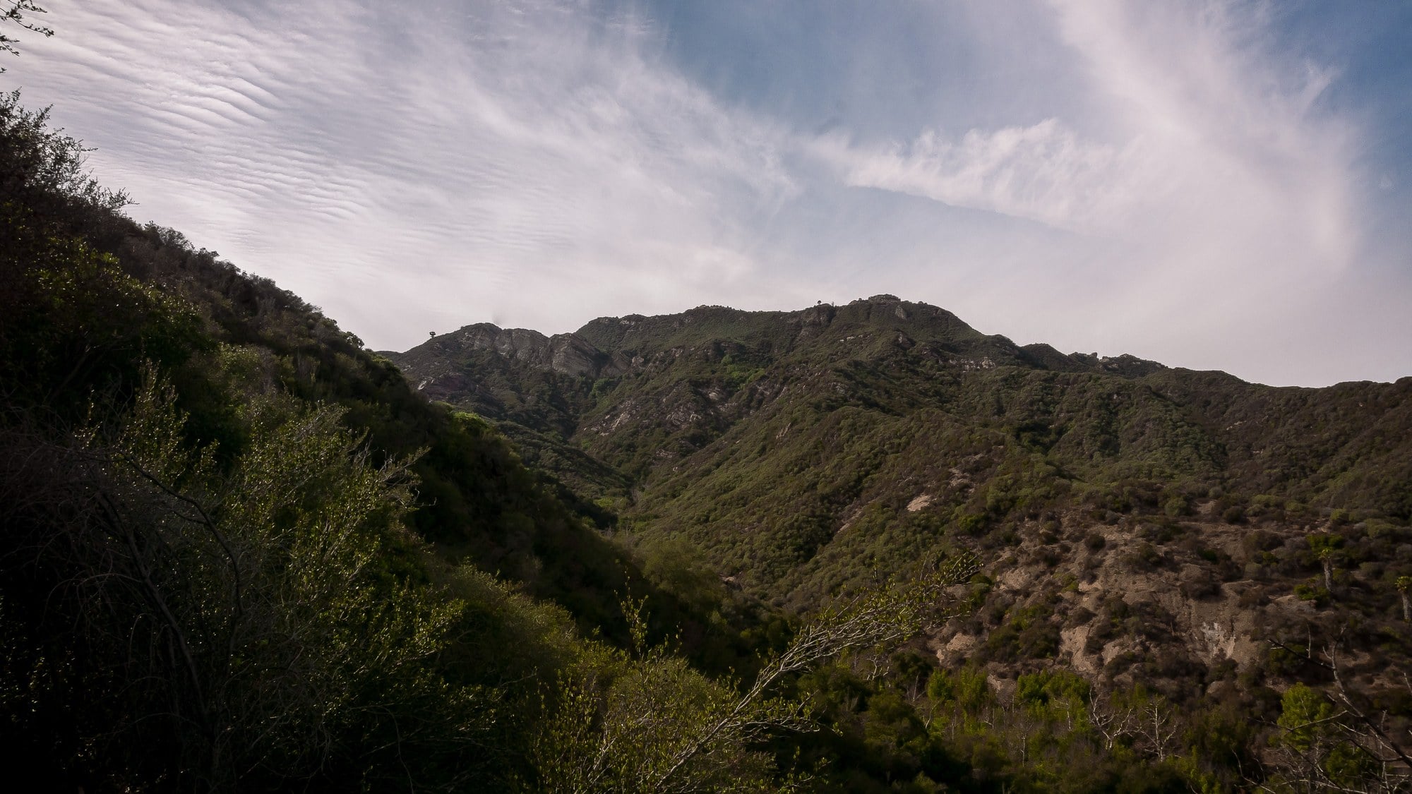 Santa Monica Mountains Backbone Trail landscape — oak and chaparral hillside trail under open sky. Public domain photo by Santa Monica Mountains National Recreation Area (NPS).