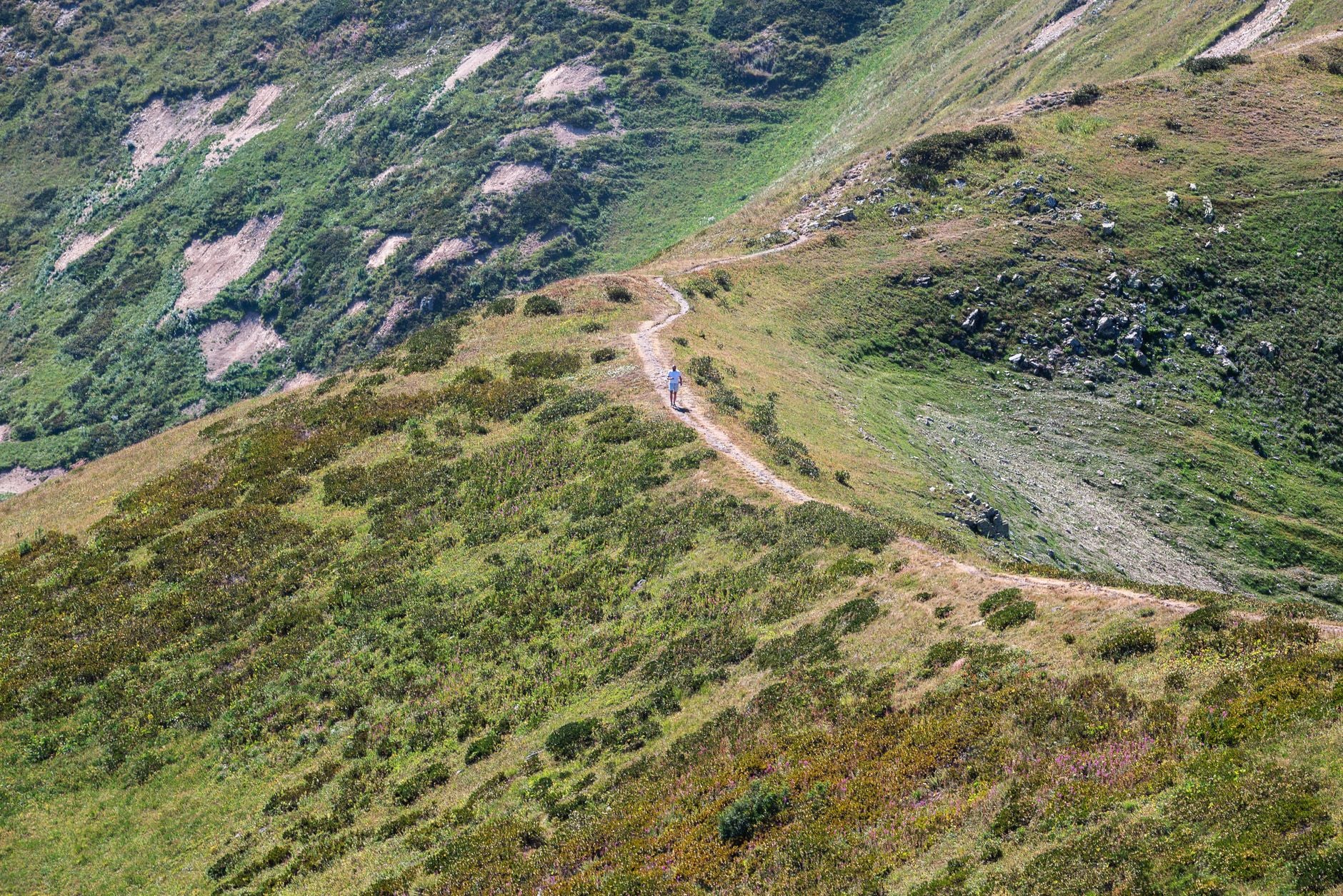 Winding trail through green mountains